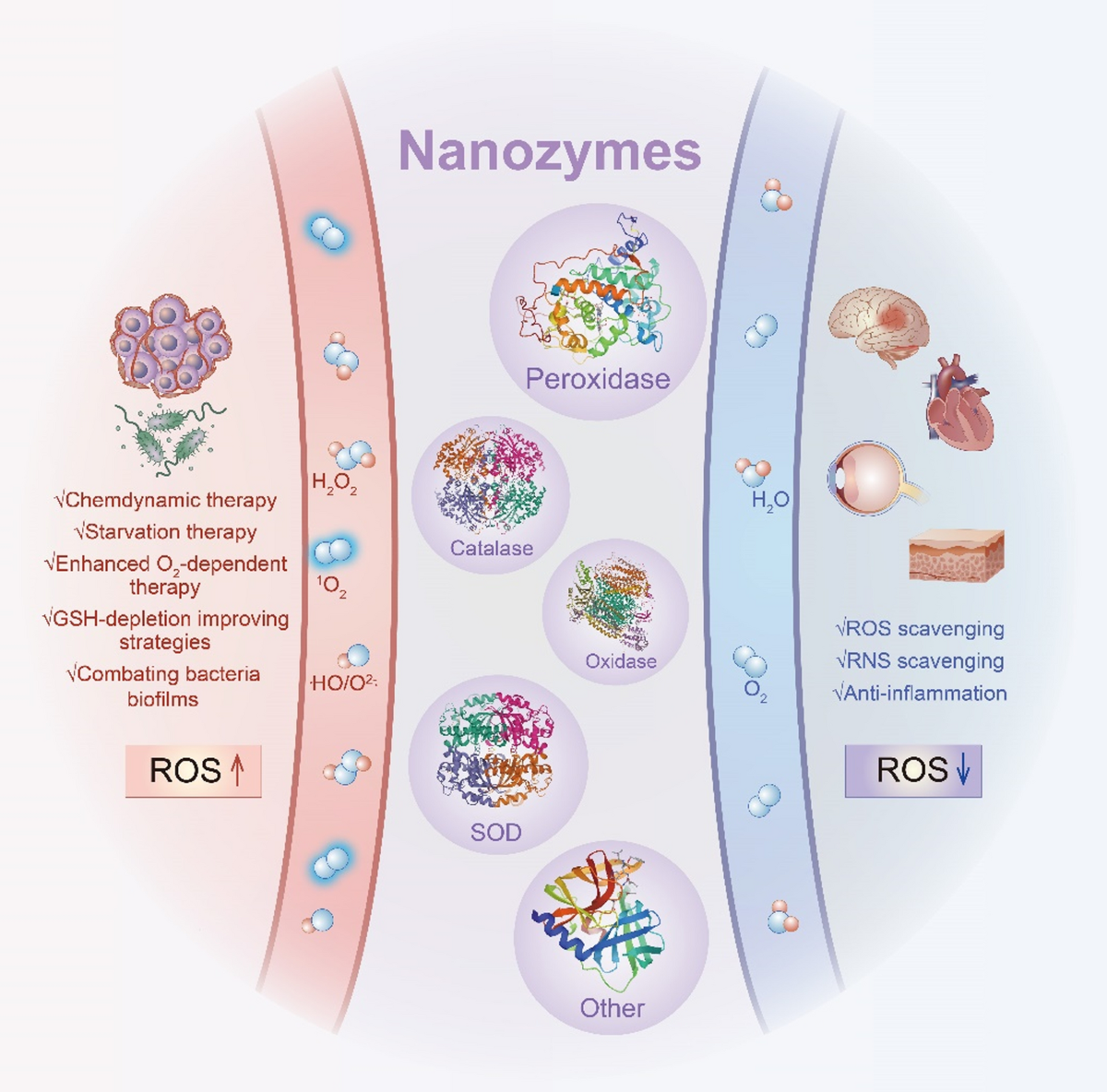 Nanozimas - Revolução Nanotecnológica
