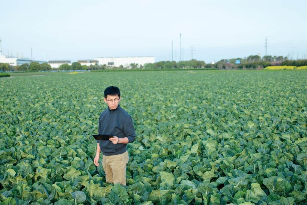 AgTech no Brasil 2025: A Revolução Silenciosa que Alimenta o Futuro com Inovação e Sustentabilidade