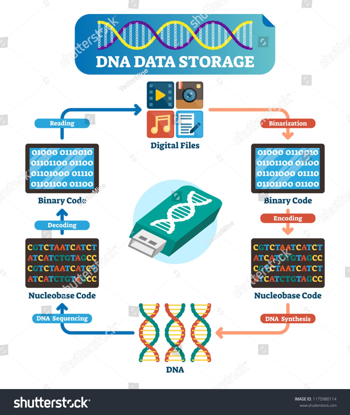 Armazenamento de Dados em DNA: A Revolução Silenciosa que Guardará Toda a Informação do Mundo em uma Xícara de Café (E Como o Brasil Entra Nessa Corrida)